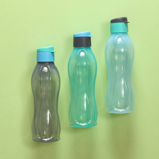 ECO BOTTLE 750ML(3) G, B, G