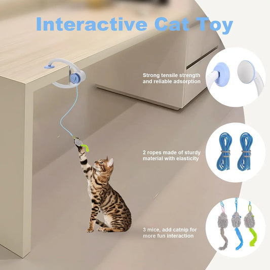 Cats Toy Interactive