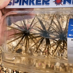 🔥Last Day 49% OFF - 🎣🐙 Tentacle Finesse Soft Plastic Lure